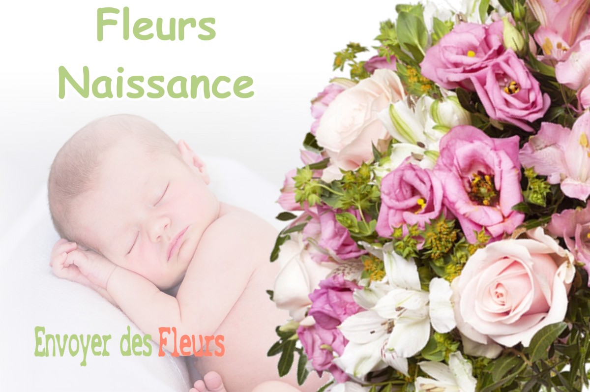 lIVRAISON FLEURS NAISSANCE à BALESTA